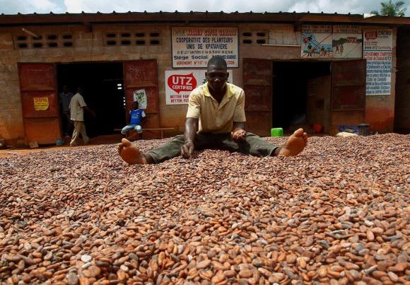 Man with cocoa beans