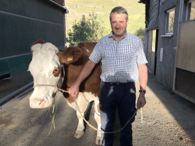 Volksabstimmung: Schweizer stimmen über Abschottung und Kuh-Hörner