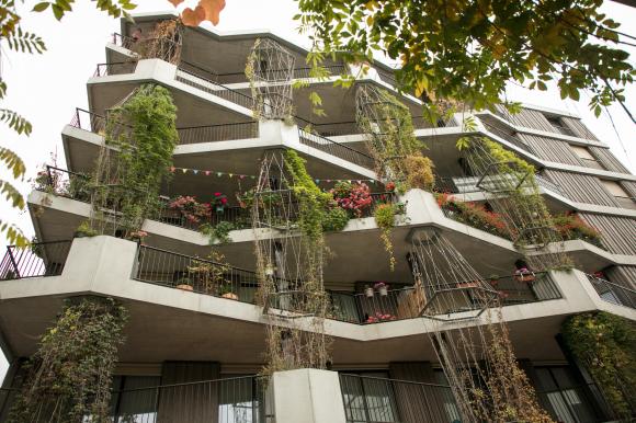 Begrünte Fassade