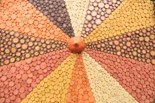 Mosaico feito com rodelas de cenoura.