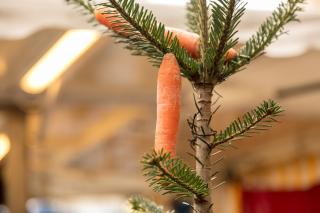 елка, украшенная морковью