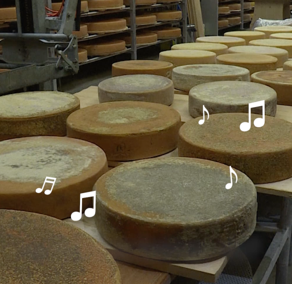 Cheese music