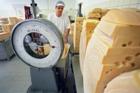 An employee weighing cheese wheels