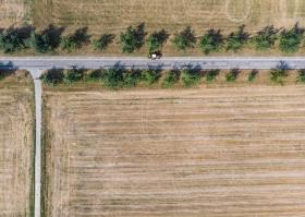 Bare fields seen from above