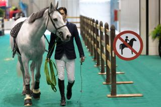 Jinete camina junto a su caballo
