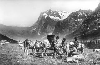 Personas sentadas con vacas a su alrededor. Al fondo, paisaje montañoso.