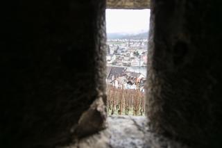 銃眼から眺めたシャフハウゼンの街とブドウ畑