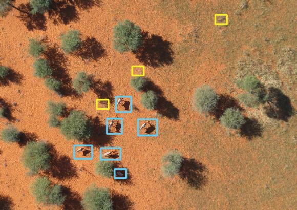 Luftbild Savanne mit Tieren und Büschen. Tiere durch Computer in blaue und gelbe Rahmen eingefasst