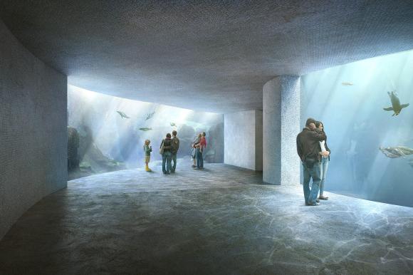Renderings of zoo