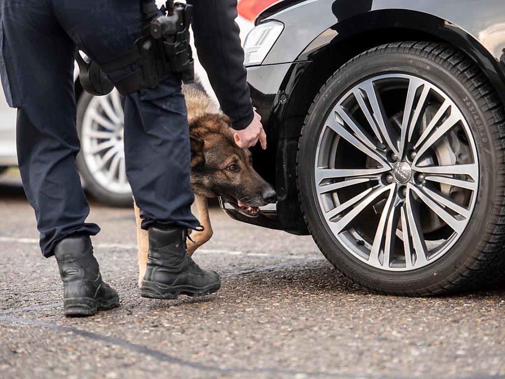 Menschen und auch Hunde für Sicherheit der WEFGäste SWI