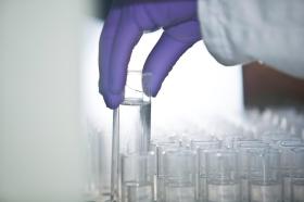 Roche chemist at work