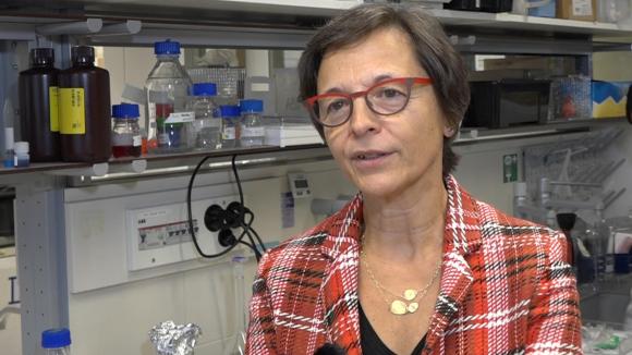 Carmen Sandi, investigadora española en el laboratorio