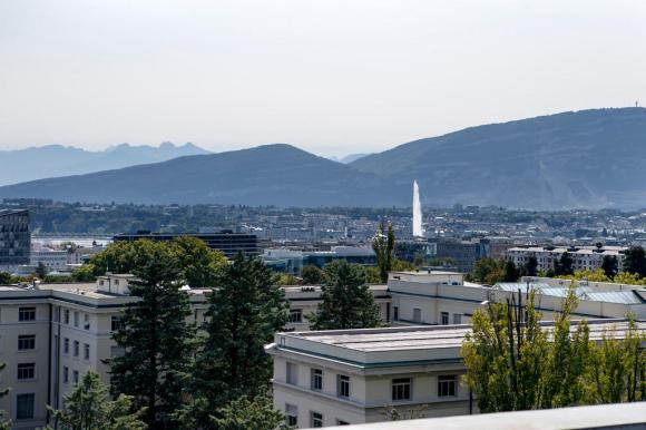 view of Geneva with fountain