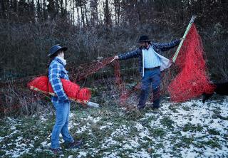 Jose Carvalho and Naemi Abegglen install a netted to pen the flock in over night.