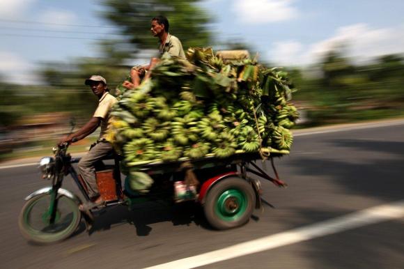 Dos hombres transportan bananos en un vehículo motorizado