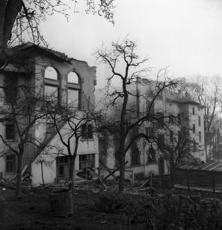 Verbrannte Bäume vor einer Ruine