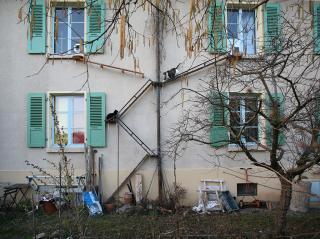 Des chats grimpent sur des échelles installées sur la façade d une maison à Berne