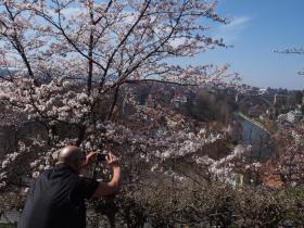 桜と街並みをカメラに収める男性