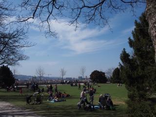 芝生でピクニックする人々