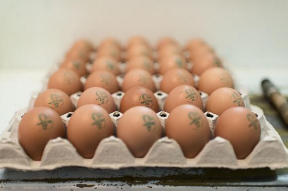 据Bio Suisse称，有机鸡蛋占到了瑞士鸡蛋市场的四分之一以上。