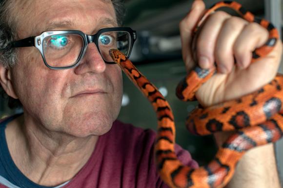 Schneller with a corn snake (Pantherophis guttatus)