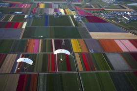 Paragliders voando sobre campos holandeses
