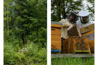巣箱にハチを入れる2人の男性