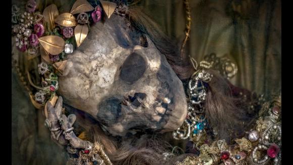 skeleton head dressed up