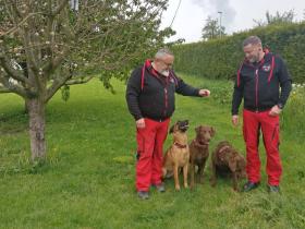 Hunde