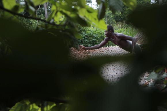 cocoa farmer