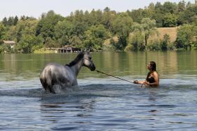 水浴びする女性と馬