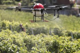 drone spraying vines
