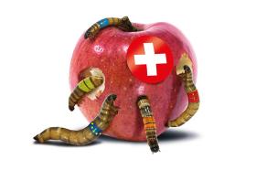 cartaz de propaganda com maçã comida por vermes