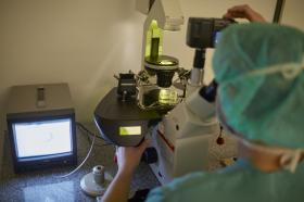 Científico mira através de un microscopio