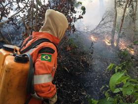 Homem combatendo incêndio em floresta