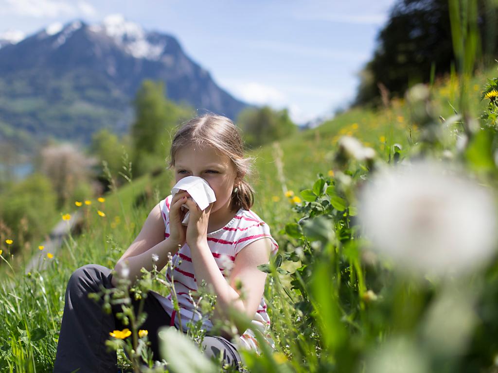 Zu Ende Gehende Pollensaison Bricht Einige Rekorde SWI Swissinfo ch