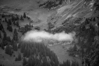 Wolke