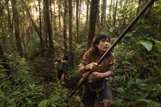 zwei Nomaden mit Blasrohren auf der Jagd im Urwald