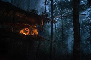 Hütte im Wald bei Dämmerung