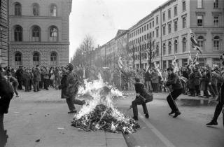 manifestazione