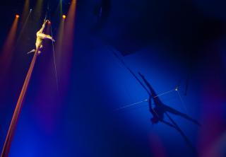 performance at circus knie