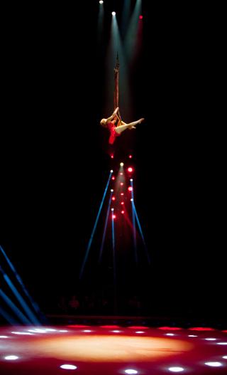 performance at circus knie