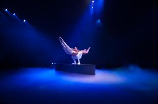 performance at circus knie
