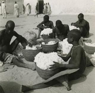 Africans making wool
