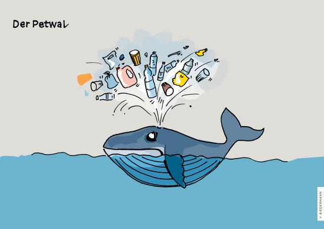 風刺画家たちが見たスイスの19年 Swi Swissinfo Ch