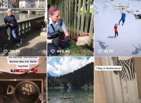 Es sind 6 verschiedene Teaser-Bilder von TikTok-Clips zu sehen (unter anderem eine Polizistin, die ein Schaf aus Zaun befreit)
