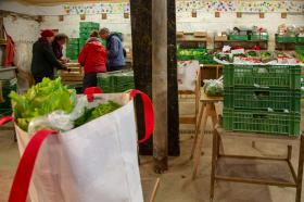 包裝蔬果是農場眾多集體活動之一。