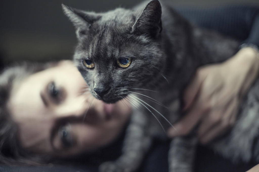 TRANSFORMAMOS NOSSA CASA EM CRECHE PARA GATOS