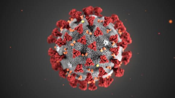 2019新型冠狀病毒的3D模型示意圖。