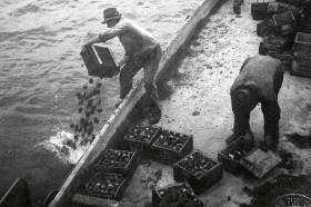 Hombres arrojando municiones al agua